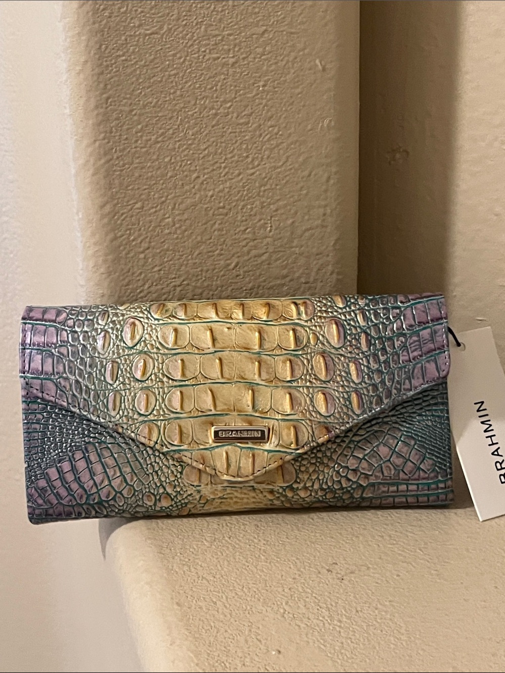 Brahmin Veronica Viola Ombre Mini Melbourne